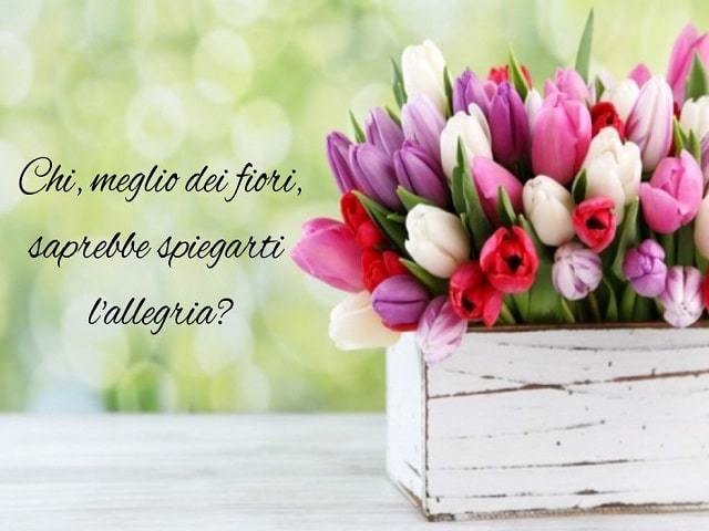 Chi, meglio dei fiori, saprebbe spiegarti l'allegria?