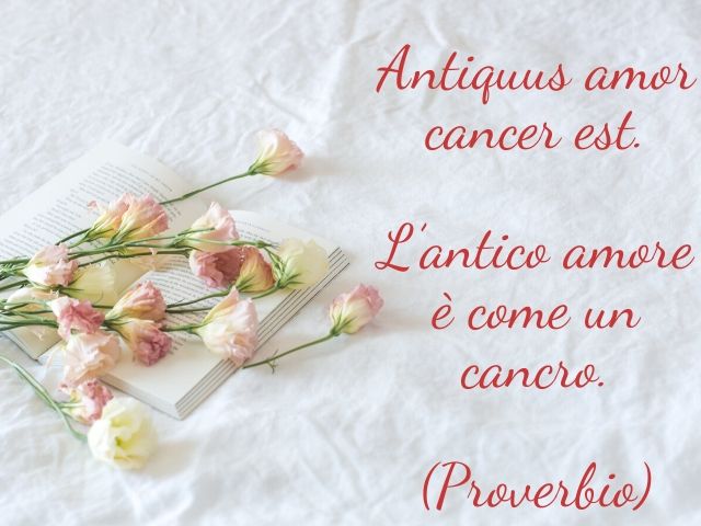 Antiquus amor cancer est.(L’antico amore è come una malattia incancrenita)(Proverbio)