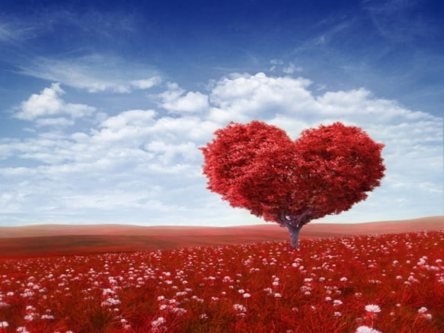 aforismi spagnolo amore