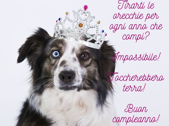 Tirarti le orecchie per ogni anno che compi?Impossibile. Toccherebbero terra! Buon compleanno!