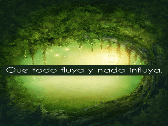 Que todo fluya y nada influya.(Lascia che tutto fluisca e nulla influenzi).