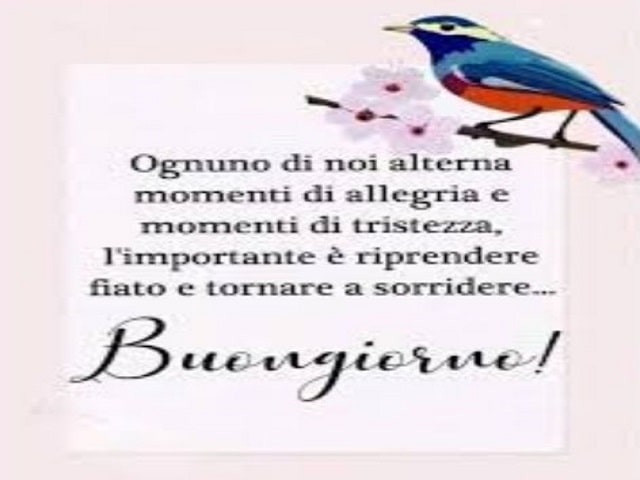 Ognuno di noi alterna momenti di allegria e momenti di tristezza, l'importante è riprendere fiato e tornare a sorridere.Buongiorno!