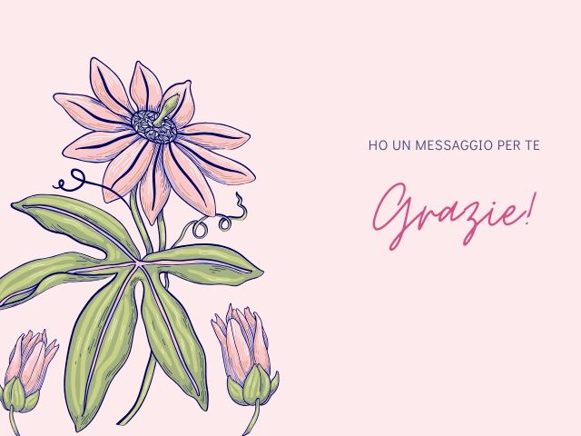 Ho un messaggio per te: grazie!