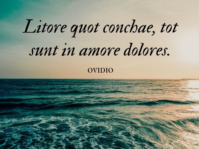 Litore quot conchae, tot sunt in amore dolores.(Quante sono le conchiglie del lido, altrettanti sono in amore i dolori.)(Ovidio)