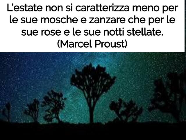 L’estate non si caratterizza meno per le sue mosche e zanzare che per le sue rose e le sue notti stellate.(Marcel Proust)