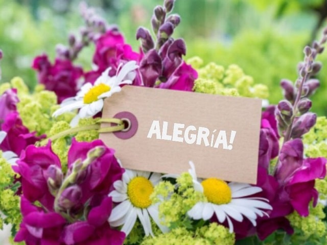 Alegría!(Allegria!)
