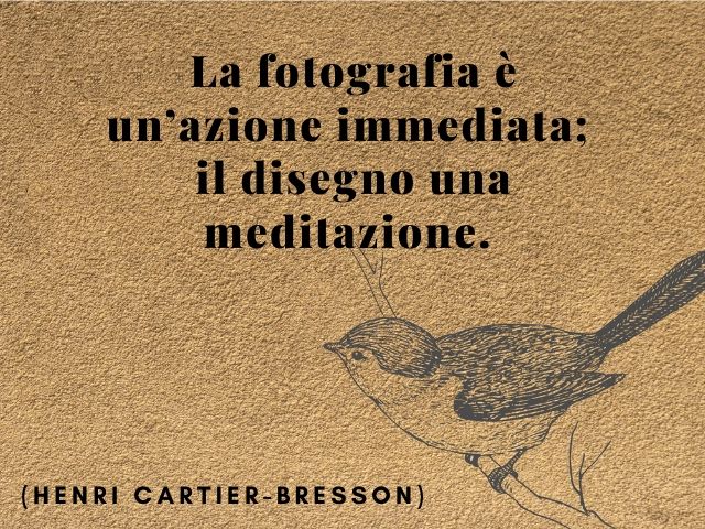 La fotografia è un’azione immediata; il disegno una meditazione.(Henri Cartier-Bresson)