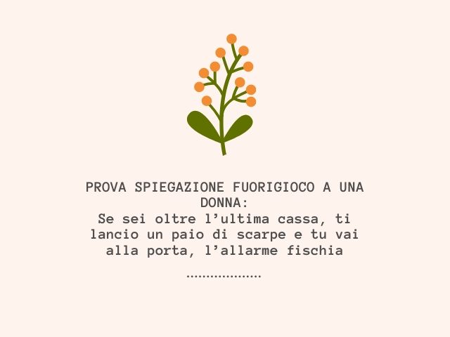 PROVA SPIEGAZIONE FUORIGIOCO A UNA DONNA:Se sei oltre l’ultima cassa, ti lancio un paio di scarpe e tu vai alla porta, l’allarme fischia.