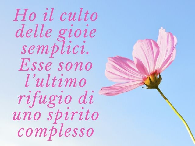 Ho il culto delle gioie semplici. Esse sono l’ultimo rifugio di uno spirito complesso.