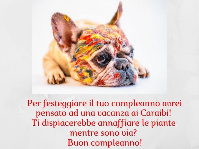 Per festeggiare il tuo compleanno avrei pensato a una vacanza ai Caraibi! Ti dispiacerebbe annaffiare le piante mentre sono via?Buon compleanno!
