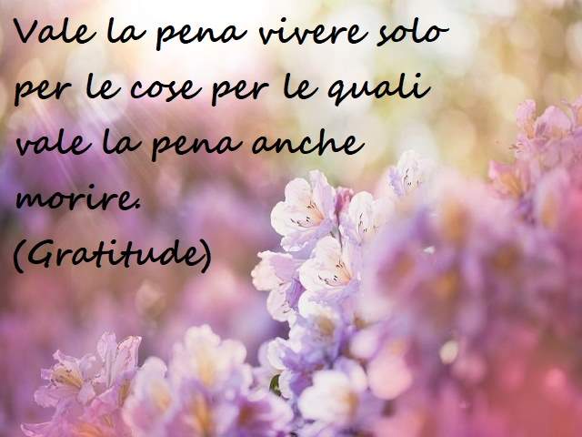 Vale la pena vivere solo per le cose per le quali vale la pena anche morire.(Gratitude)