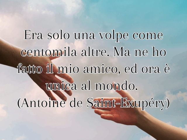Era solo una volpe come centomila altre. Ma ne ho fatto il mio amico, ed ora è unica al mondo.(Antoine de Saint-Exupéry)
