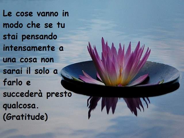 Le cose vanno in modo che se tu stai pensando intensamente a una cosa non sarai il solo a farlo e succederà presto qualcosa.(Gratitude)