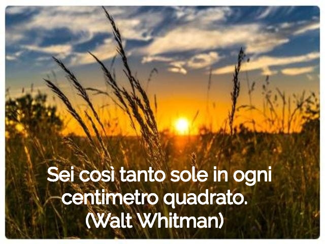 Sei così tanto sole in ogni centimetro quadrato.(Walt Whitman)