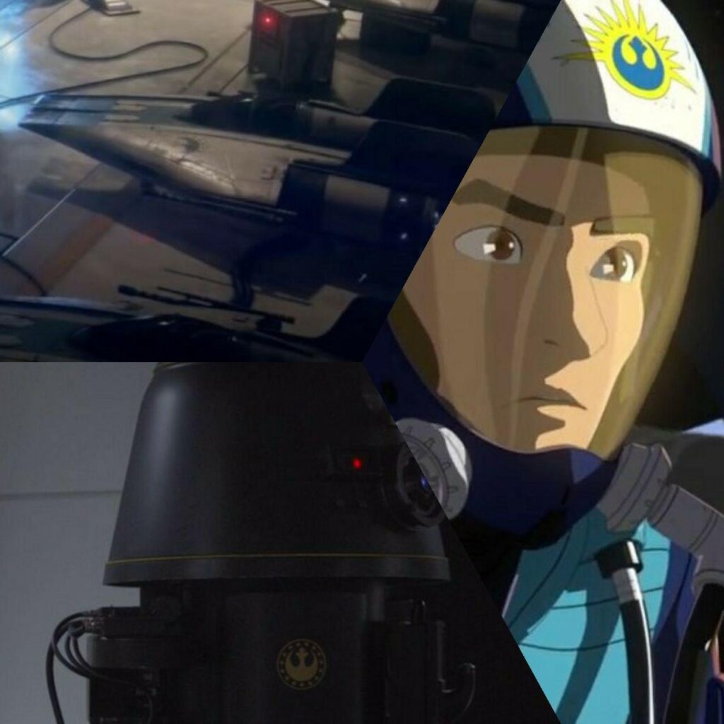 I vari fregi della Nuova Repubblica