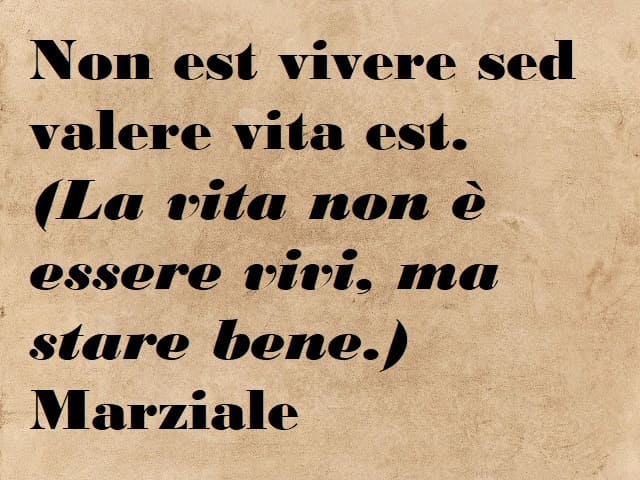Non est vivere sed valere vita est. (La vita non è essere vivi, ma stare bene.) (Marziale)