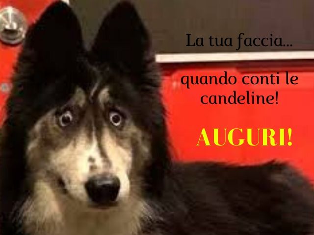 La tua faccia... quando conti le candeline!Auguri!