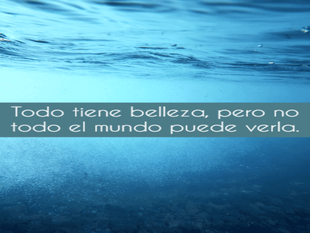 Todo tiene belleza, pero no todo el mundo puede verla.(Ogni cosa ha la sua bellezza, ma non tutti riescono a vederla).