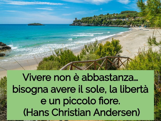 Vivere non è abbastanza… bisogna avere il sole, la libertà e un piccolo fiore.(Hans Christian Andersen)