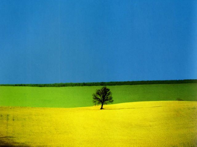 (Franco Fontana)