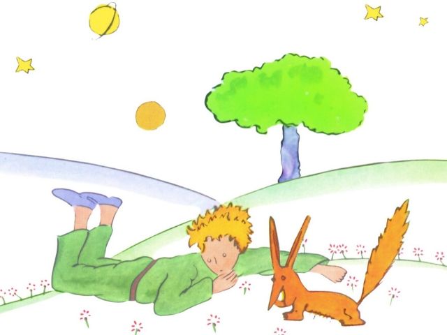 aforismi piccolo principe