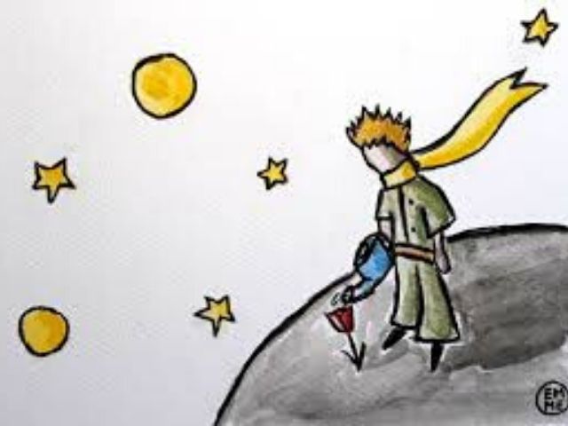 il piccolo principe immagini