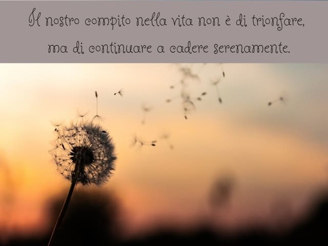 Il nostro compito nella vita non è di trionfare, ma di continuare a cadere serenamente.