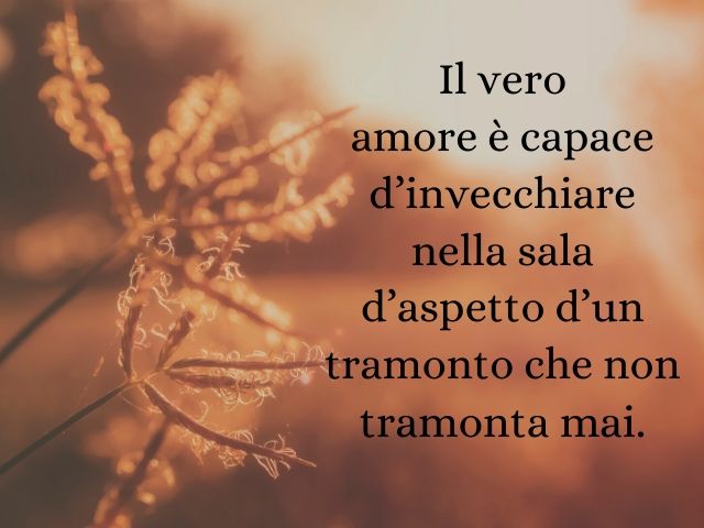 Il vero amore è capace d’invecchiare nella sala d’aspetto d’un tramonto che non tramonta mai.(Massimo Bisotti)