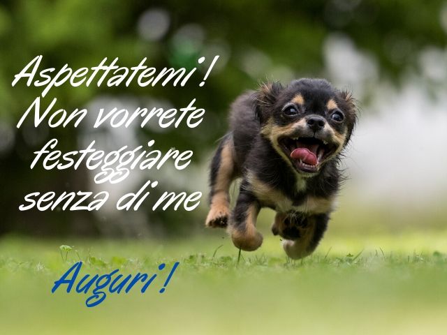 Aspettatemi! Non vorrete festeggiare senza di me.Auguri!