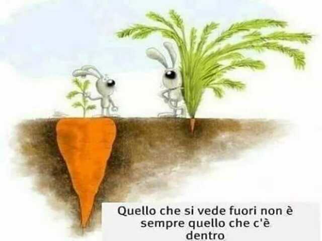 Quello che si vede fuori non è sempre quello che c'è dentro.