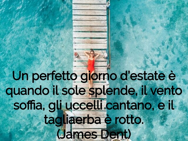 Un perfetto giorno d’estate è quando il sole splende, il vento soffia, gli uccelli cantano, e il tagliaerba è rotto.(James Dent)