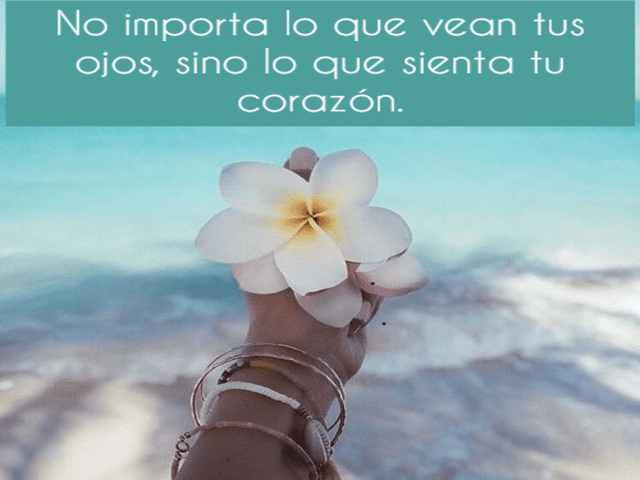 No importa lo que vean tus ojos, sino lo que sienta tu corazón.(Non importa ciò che vedono i tuoi occhi, ma ciò che sente il tuo cuore).