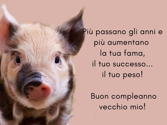 Più passano gli anni e più aumentano la tua fama, il tuo successo... il tuo peso!Buon compleanno vecchio mio!