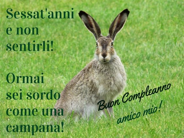 Sessaant'anni e non sentirli!Ormai sei sordo come una campana!Buon compleanno amico mio!