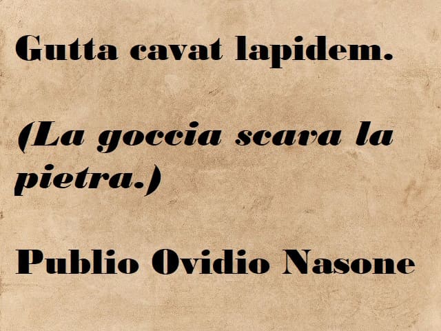 Gutta cavat lapidem. (La goccia scava la pietra.) (Publio Ovidio Nasone)