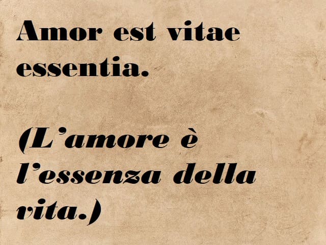 Amor est vitae essentia. (L'amore è l'essenza della vita.)
