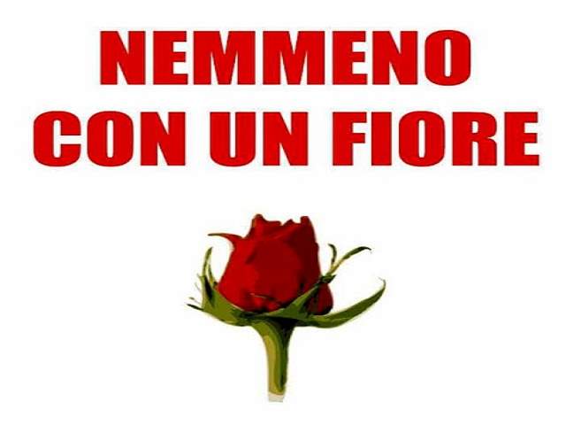 Nemmeno con un fiore.