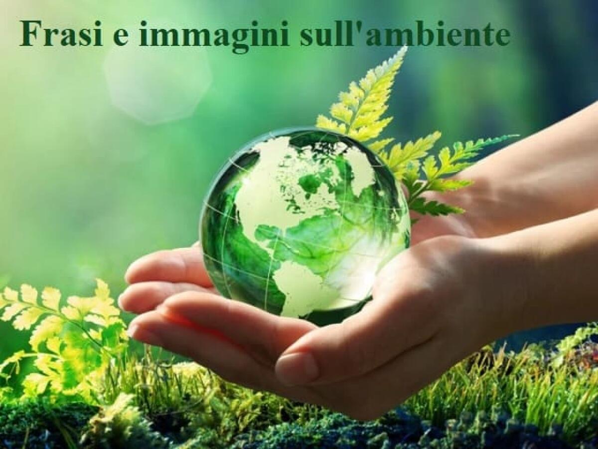 Immagini e frasi sull'ambiente: 141 pensieri sulla natura e l'inquinamento - 