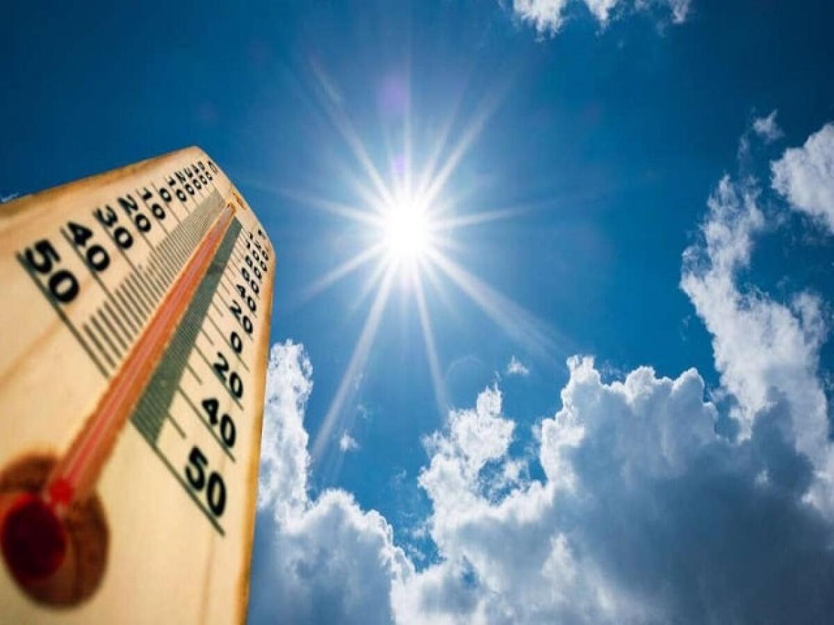 Frasi divertenti sul caldo: 95 aforismi e immagini - 