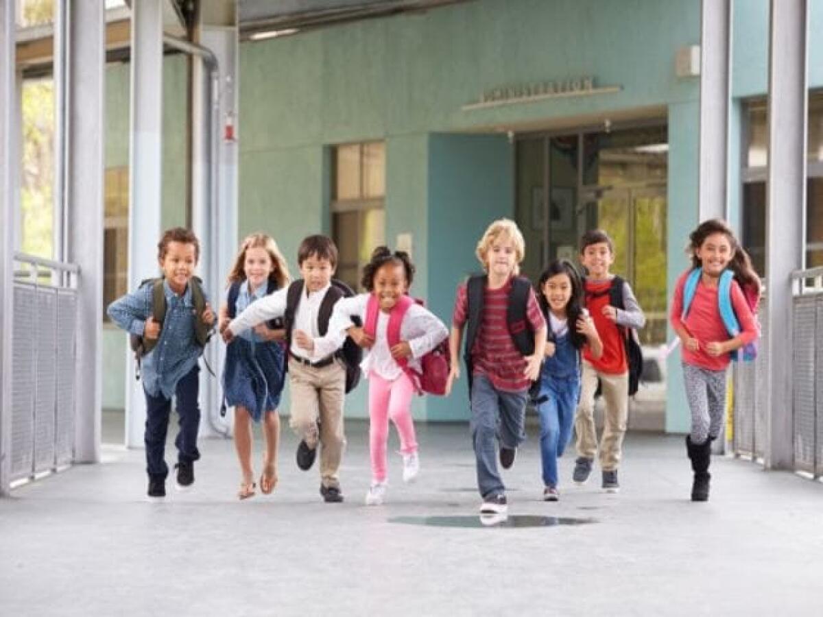 Frasi sulla scuola: 351 pensieri da dedicare all'istruzione - 