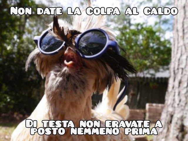 Non date la colpa al caldo: di testa, non eravate a posto nemmeno prima.