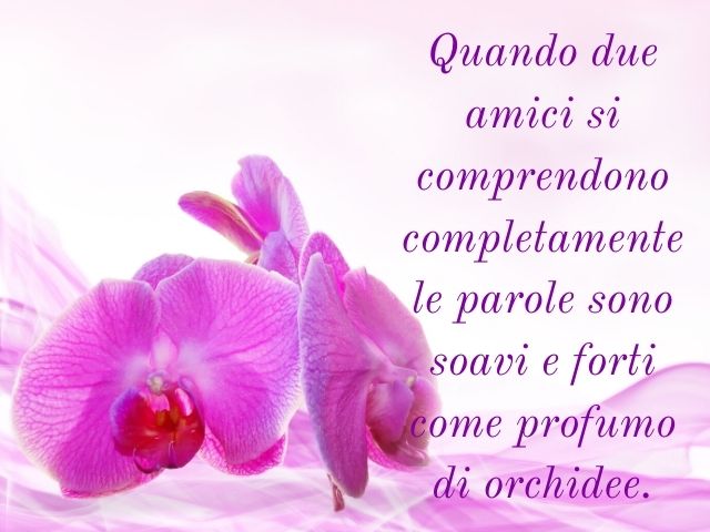 Quando due amici si comprendono completamente le parole sono soavi e forti come profumo di orchidee.(Confucio)