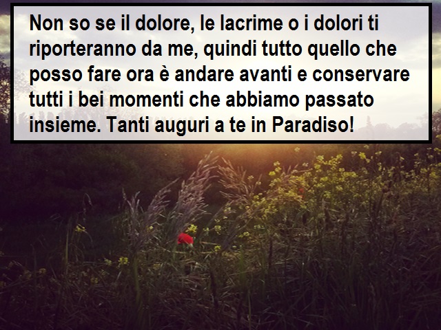 Non so se il dolore, le lacrime o i dolori ti riporteranno da me, quindi tutto quello che posso fare ora è andare avanti e conservare tutti i bei momenti che abbiamo passato insieme. Tanti auguri a te in Paradiso!