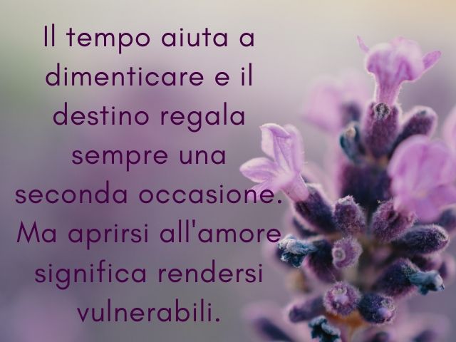 Il tempo aiuta a dimenticare e il destino regala sempre una seconda occasione. Ma aprirsi all'amore significa rendersi vulnerabili.(Nicholas Sparks)