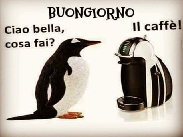 Buongiorno, ciao bella cosa fai? Il caffè!