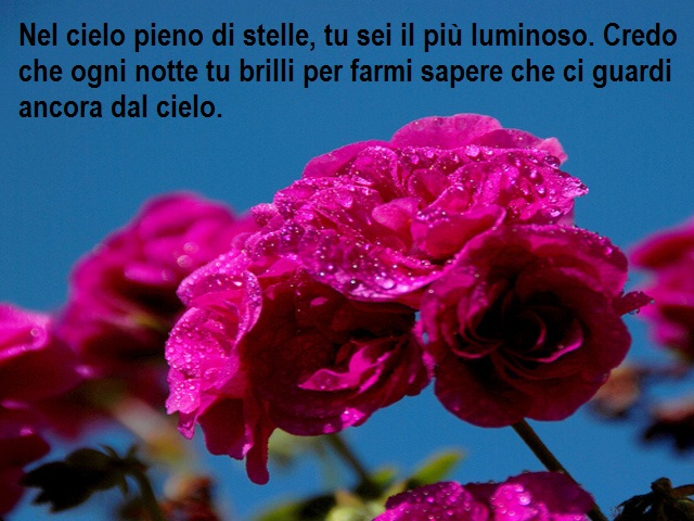 Nel cielo pieno di stelle, tu sei il più luminoso. Credo che ogni notte tu brilli per farmi sapere che ci guardi ancora dal cielo.