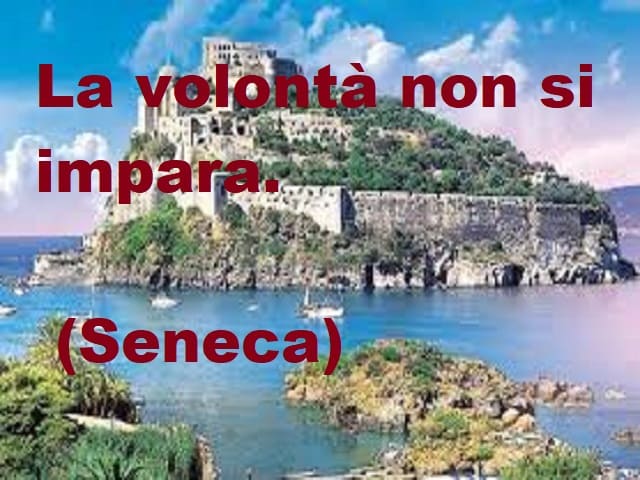 La volontà non si impara.(Seneca)