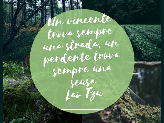 Un vincente trova sempre una strada, un perdente trova sempre una scusa.(Lao Tzu)