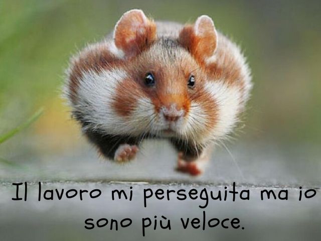 Il lavoro mi perseguita ma io sono più veloce.
