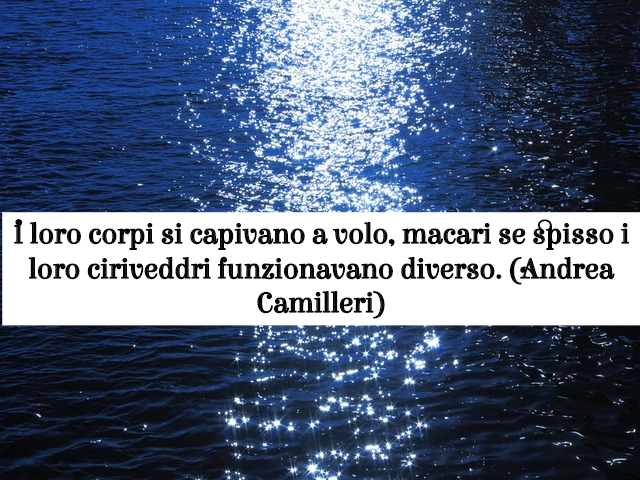 I loro corpi si capivano a volo, macari se spisso i loro ciriveddri funzionavano diverso. (Andrea Camilleri)